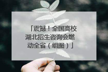 震撼！全国高校湖北招生咨询会燃动全省（组图）