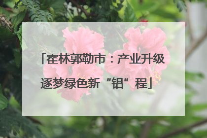 霍林郭勒市：产业升级逐梦绿色新“铝”程