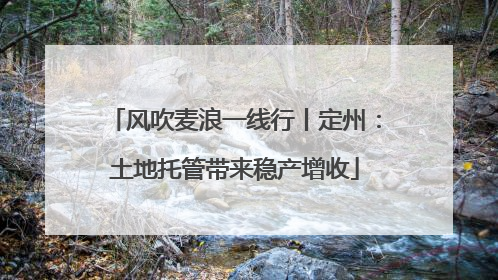 风吹麦浪一线行丨定州：土地托管带来稳产增收
