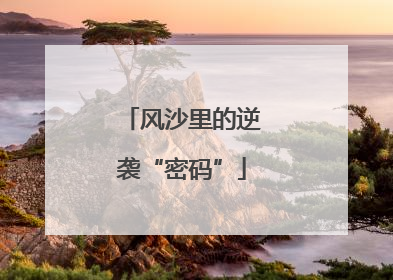 风沙里的逆袭“密码”