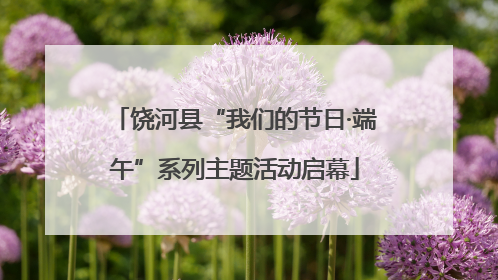 饶河县“我们的节日·端午”系列主题活动启幕