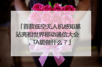 首款低空无人机感知基站亮相世界移动通信大会，TA能做什么？