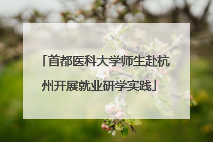 首都医科大学师生赴杭州开展就业研学实践
