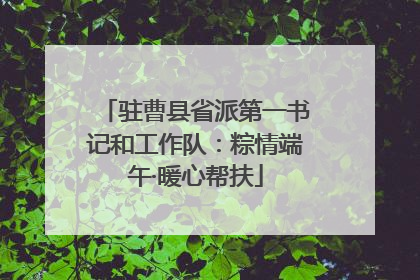 驻曹县省派第一书记和工作队：粽情端午·暖心帮扶
