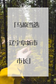 马原当选辽宁阜新市市长