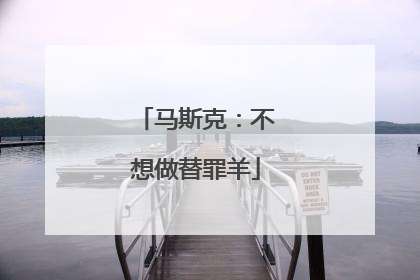 马斯克：不想做替罪羊