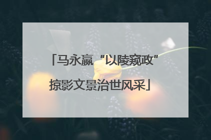 马永嬴“以陵窥政” 掠影文景治世风采