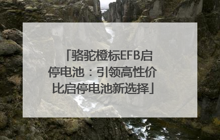 骆驼橙标EFB启停电池：引领高性价比启停电池新选择