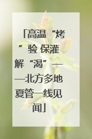 高温“烤”验 保灌解“渴”——北方多地夏管一线见闻