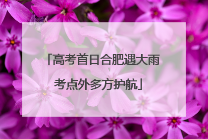 高考首日合肥遇大雨 考点外多方护航