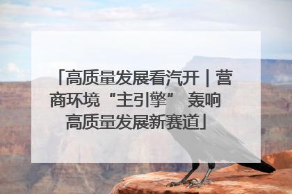 高质量发展看汽开｜营商环境“主引擎” 轰响高质量发展新赛道
