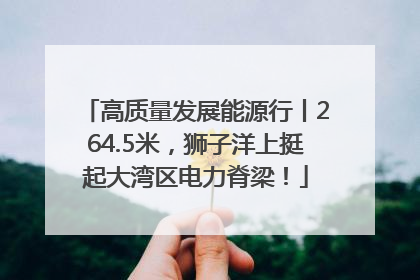高质量发展能源行丨264.5米，狮子洋上挺起大湾区电力脊梁！