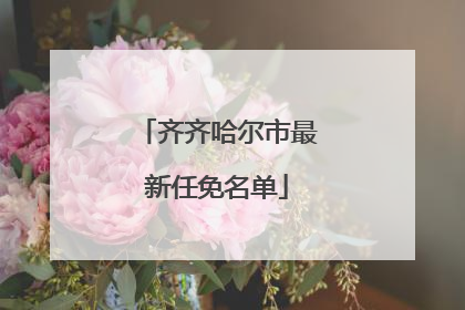 齐齐哈尔市最新任免名单