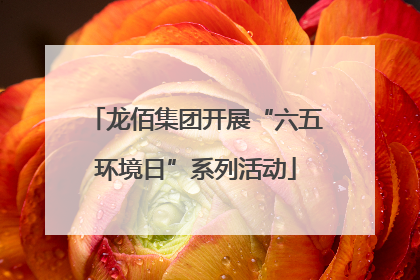 龙佰集团开展“六五环境日”系列活动