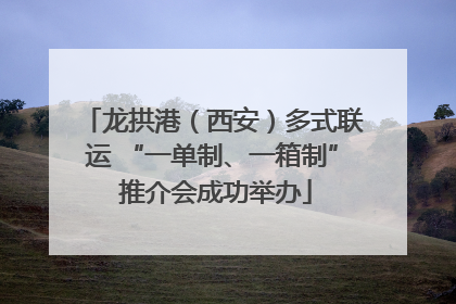龙拱港（西安）多式联运 “一单制、一箱制” 推介会成功举办