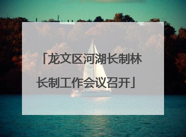 龙文区河湖长制林长制工作会议召开