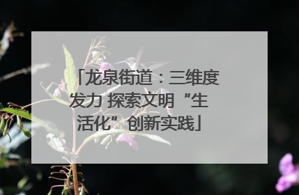 龙泉街道：三维度发力 探索文明“生活化”创新实践