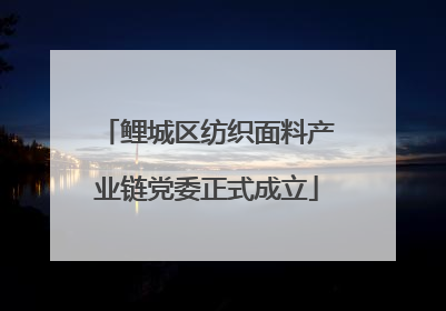鲤城区纺织面料产业链党委正式成立