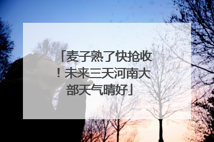 麦子熟了快抢收！未来三天河南大部天气晴好