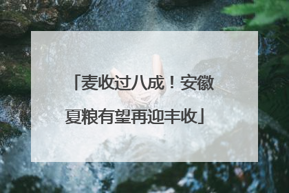 麦收过八成！安徽夏粮有望再迎丰收