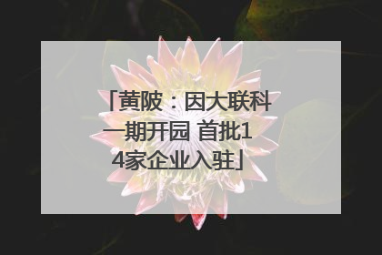 黄陂：因大联科一期开园 首批14家企业入驻
