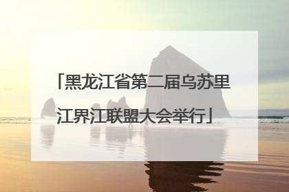 黑龙江省第二届乌苏里江界江联盟大会举行