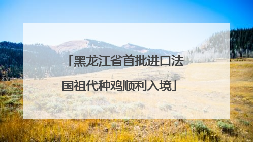 黑龙江省首批进口法国祖代种鸡顺利入境