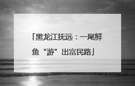 黑龙江抚远：一尾鲜鱼“游”出富民路