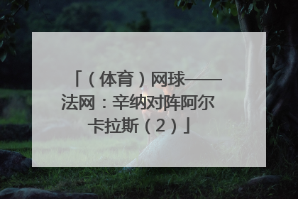 （体育）网球——法网：辛纳对阵阿尔卡拉斯（2）