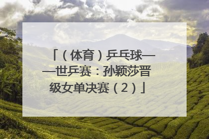 （体育）乒乓球——世乒赛：孙颖莎晋级女单决赛（2）