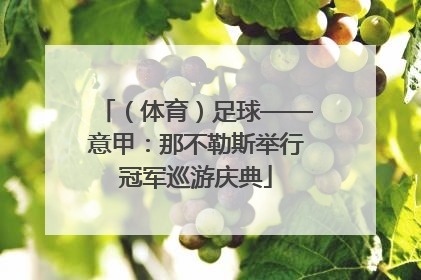 （体育）足球——意甲：那不勒斯举行冠军巡游庆典