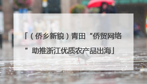 （侨乡新貌）青田“侨贸网络”助推浙江优质农产品出海