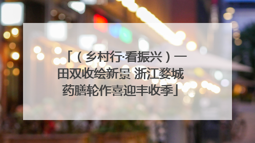 （乡村行·看振兴）一田双收绘新景 浙江婺城药膳轮作喜迎丰收季