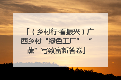 （乡村行·看振兴）广西乡村“绿色工厂” “蔬”写致富新答卷