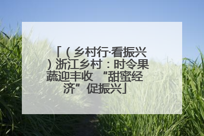 （乡村行·看振兴）浙江乡村：时令果蔬迎丰收 “甜蜜经济”促振兴