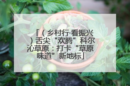 （乡村行·看振兴）舌尖“欢腾”科尔沁草原：打卡“草原味道”新地标