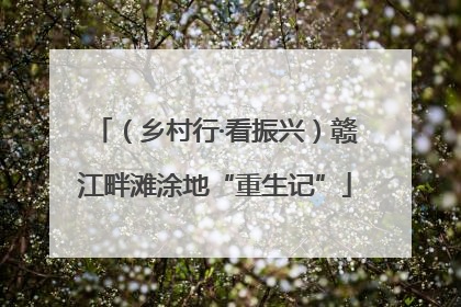 （乡村行·看振兴）赣江畔滩涂地“重生记”