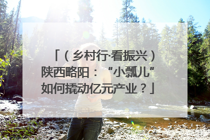 （乡村行·看振兴）陕西略阳：“小瓢儿”如何撬动亿元产业？