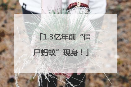 1.3亿年前“僵尸蚂蚁”现身！