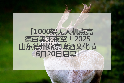 1000架无人机点亮德百奥莱夜空！2025山东德州燕京啤酒文化节6月20日启幕