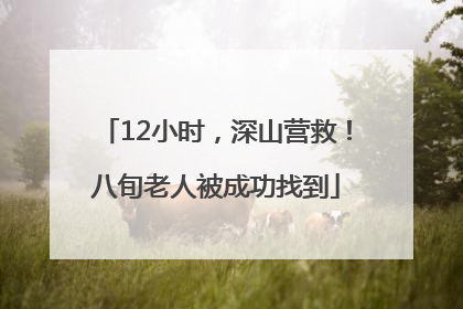 12小时，深山营救！八旬老人被成功找到