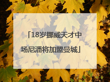 18岁挪威天才中场尼潘将加盟曼城