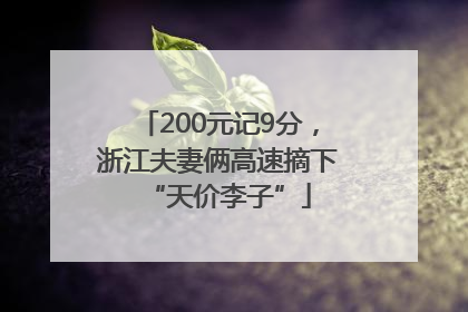 200元记9分，浙江夫妻俩高速摘下“天价李子”