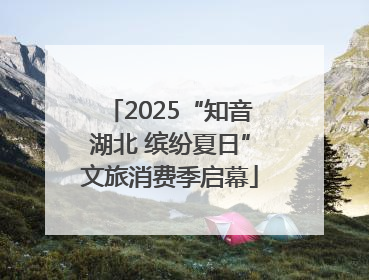 2025“知音湖北 缤纷夏日”文旅消费季启幕