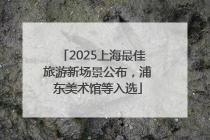 2025上海最佳旅游新场景公布，浦东美术馆等入选