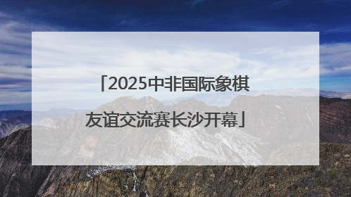 2025中非国际象棋友谊交流赛长沙开幕