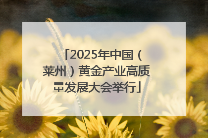 2025年中国（莱州）黄金产业高质量发展大会举行