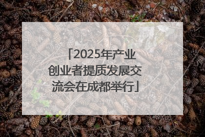 2025年产业创业者提质发展交流会在成都举行