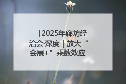 2025年廊坊经洽会·深度｜放大“会展+”乘数效应 打造消费新场景