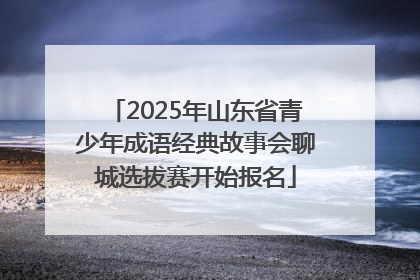 2025年山东省青少年成语经典故事会聊城选拔赛开始报名